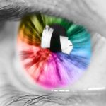 retina